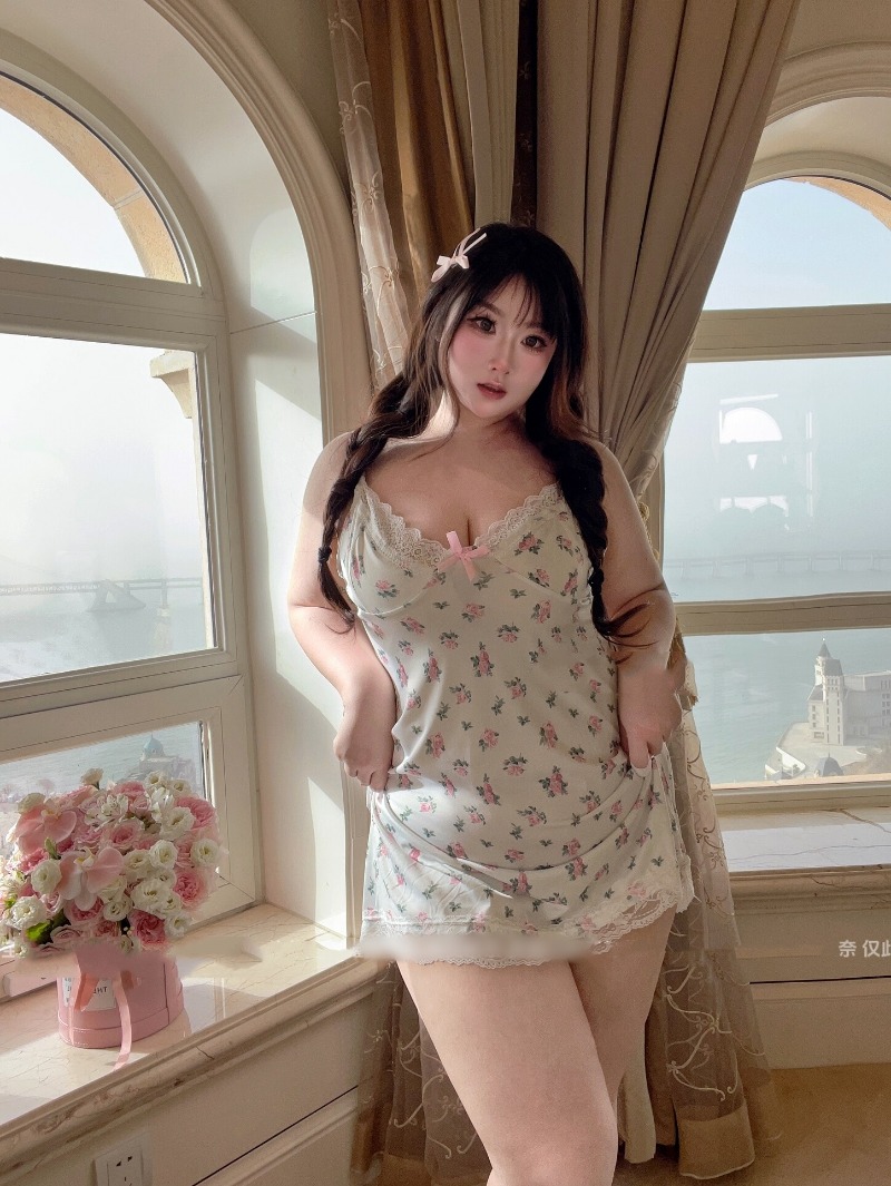 Women's Sexy Plus Size Lingeri – обзор и цена Babydoll Chemise Night