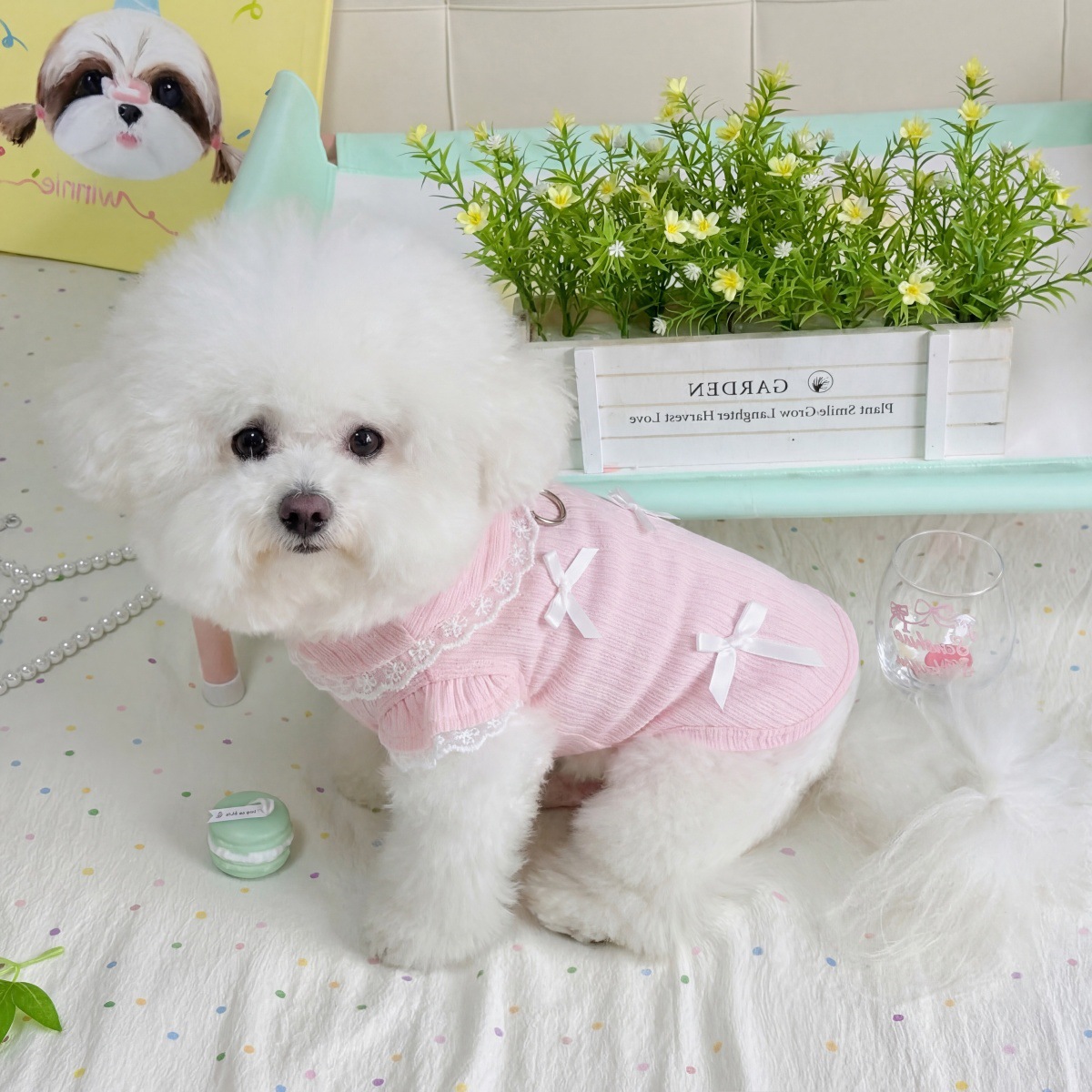 Pet Spring Lace Bow Vest Can P – обзор и цена Lace Teddy Lingerie