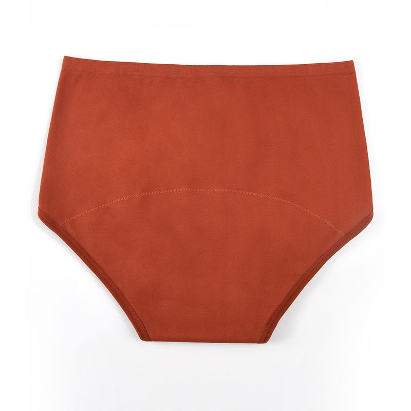 Women’s Seamless Period Pantie – обзор и цена Period Panty Absorbent